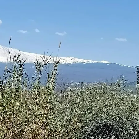 Apartment Angolo Di 200 Passi Da Mare